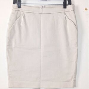 Express Pencil skirt